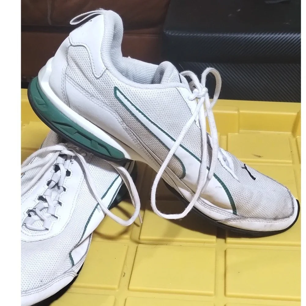 Puma brand model